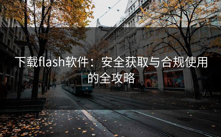 下载flash软件：安全获取与合规使用的全攻略